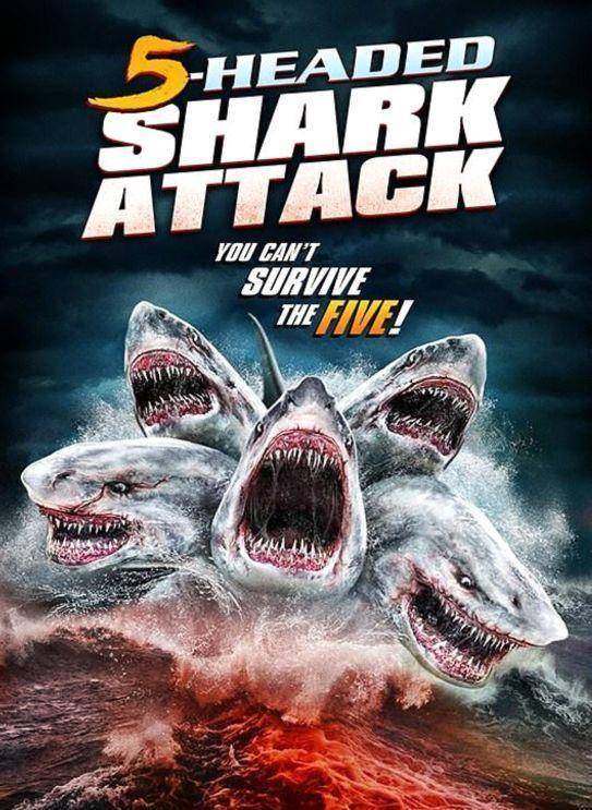 《夺命五头鲨》几部多头鲨鱼灾难片,还拍了《巨鲨大战食人鳄》骸抖