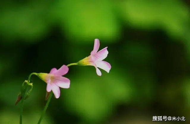 中年女人，除了要经营好婚姻和家庭，还要做到“两不爱”