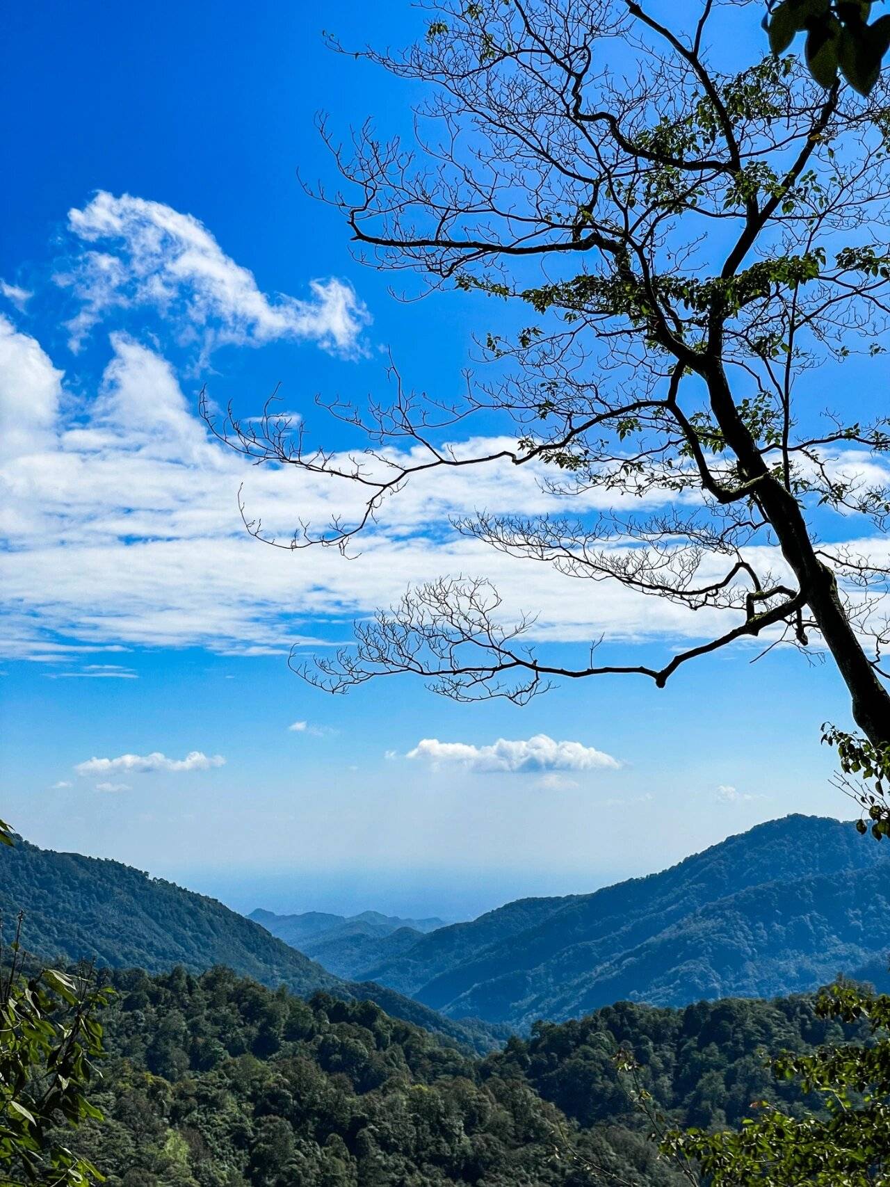 四川成都旅游拍摄地点在哪里 ,赶紧来抄！