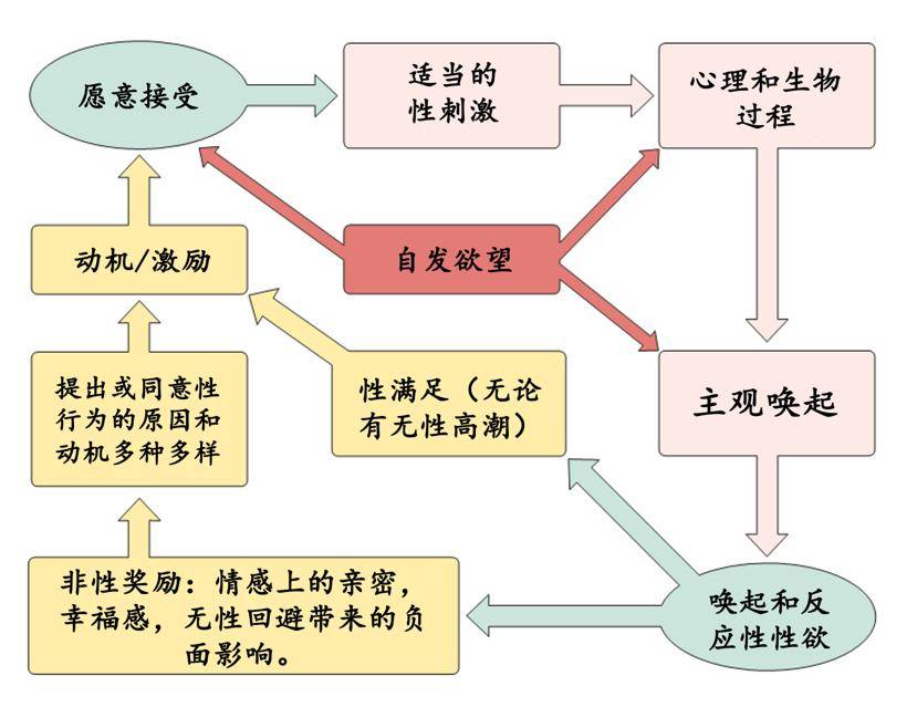 爱情心理学，绝不是规劝女性自我物化