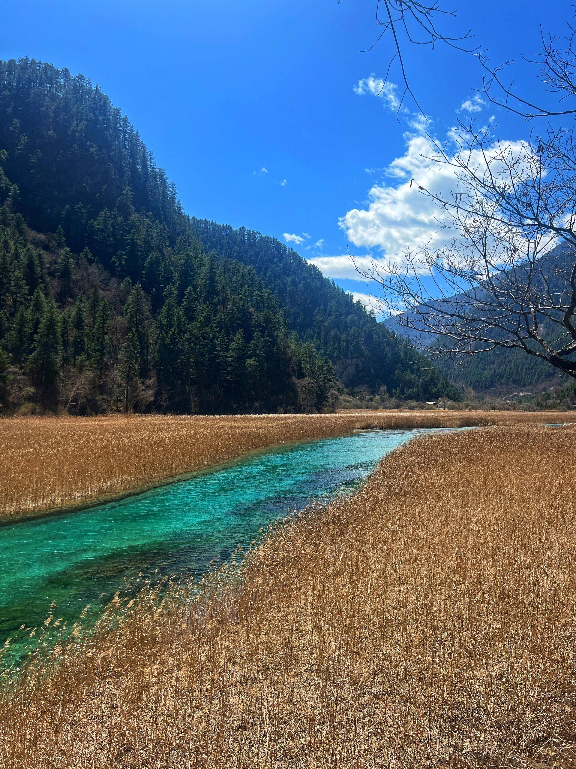 四川成都旅游爱情海 ,超全攻略一定要看！