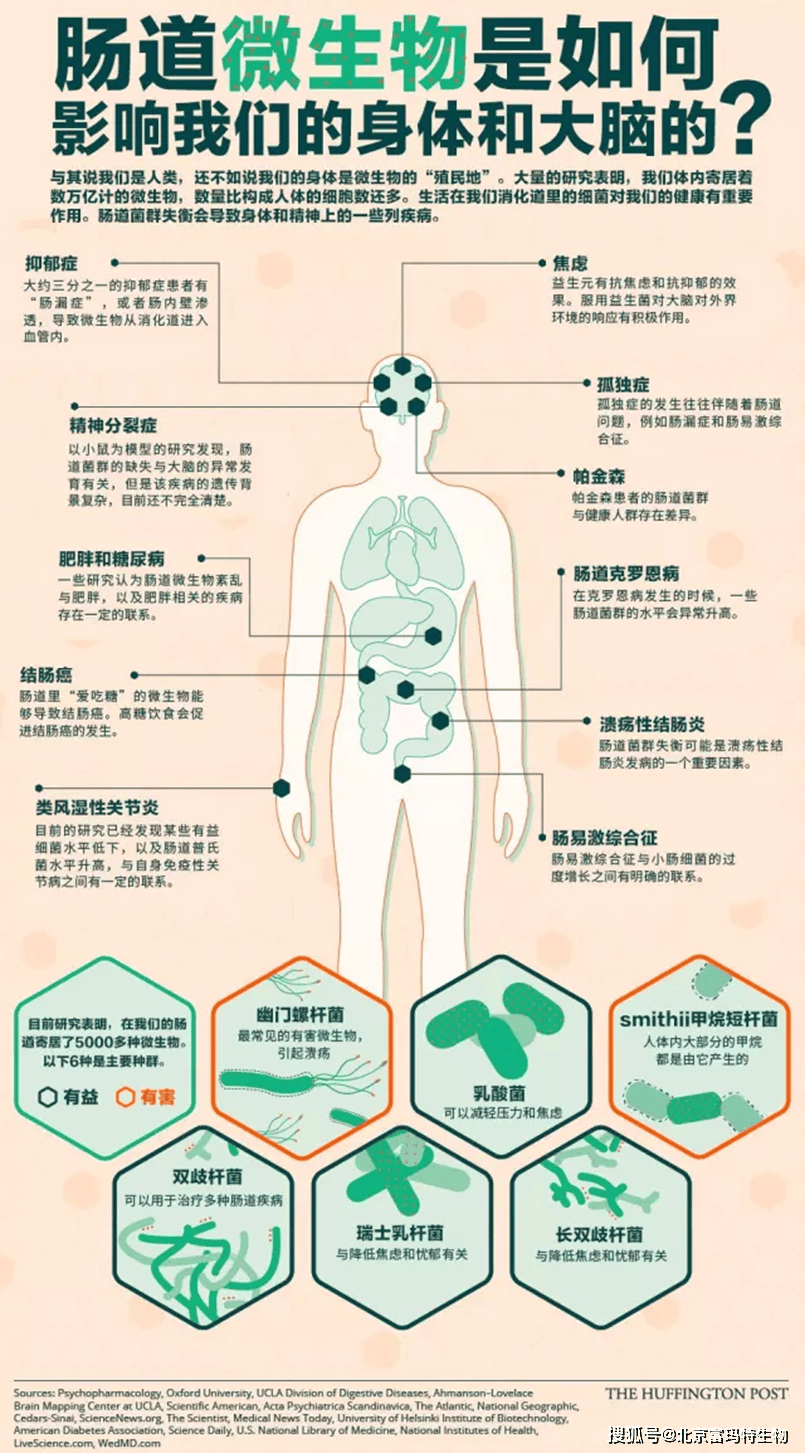 脑子不好使不是你的错，科学家透露挽救方法！