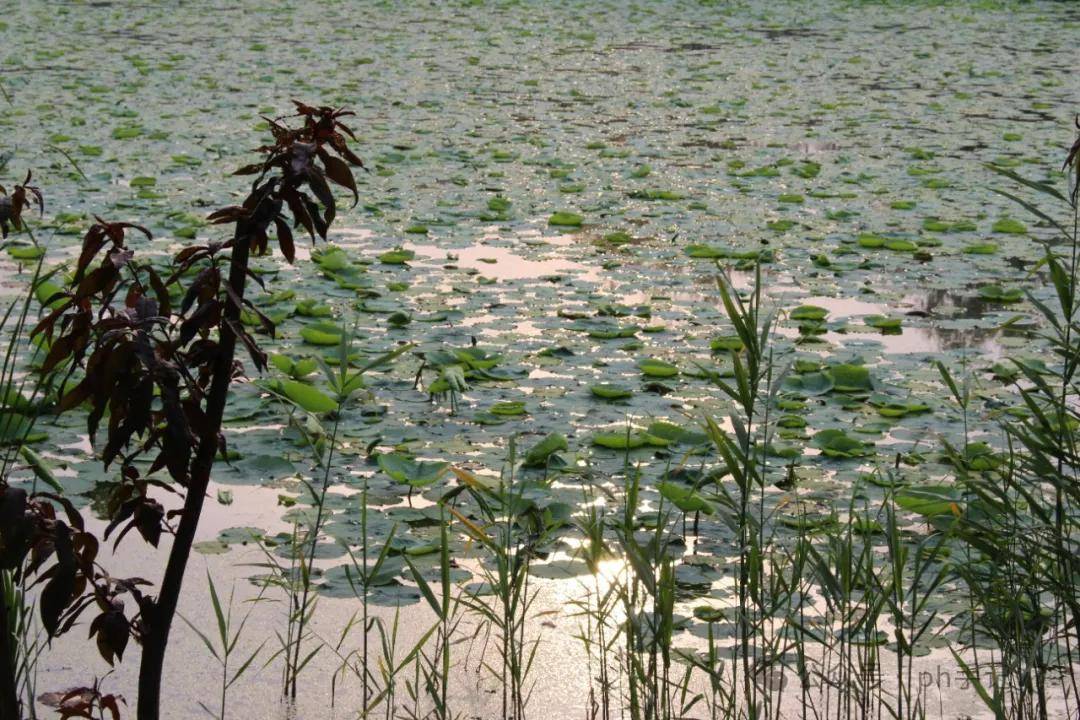 【我的似水流年】：人间五月天之2016年5月