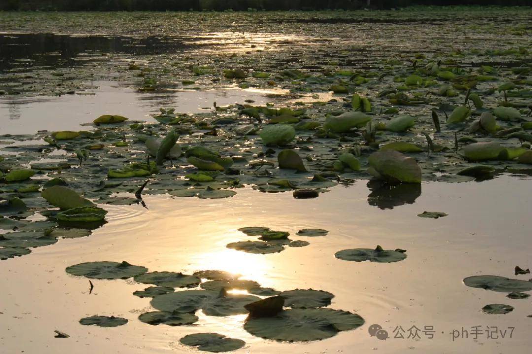 【我的似水流年】：人间五月天之2016年5月