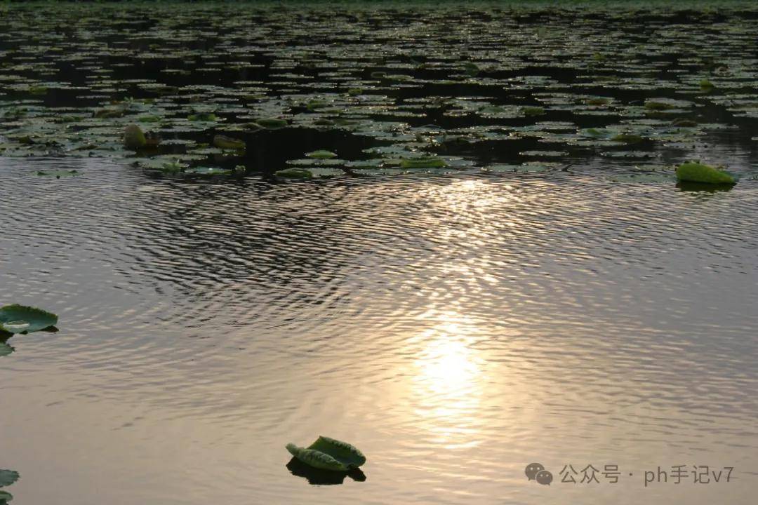 【我的似水流年】：人间五月天之2016年5月