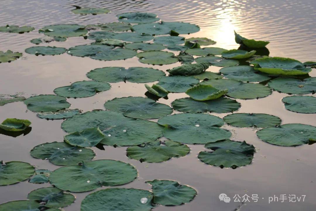 【我的似水流年】：人间五月天之2016年5月