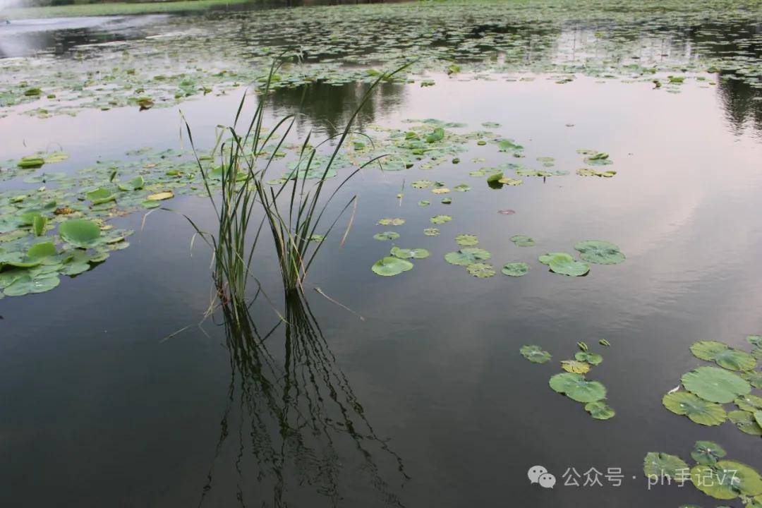 【我的似水流年】：人间五月天之2016年5月