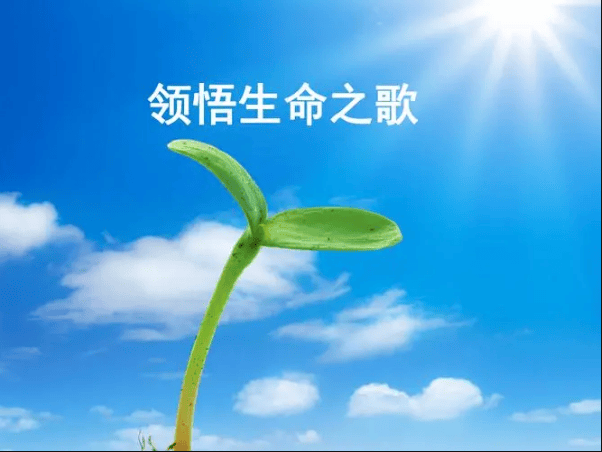 你是我生命里的一首歌