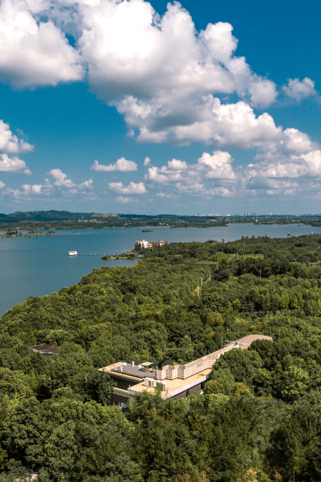 36°的夏天住进24°的民宿，放空发呆