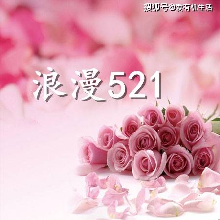 521数字代表什么意思，521有什么特殊含义？