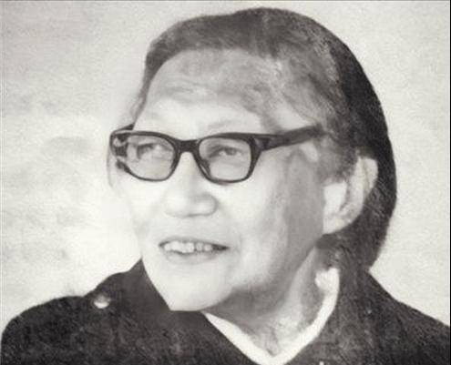 1995年，一农村妇女说：我就是那个军火大盗，老蒋恨我恨得牙痒