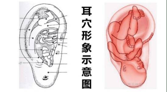 转氨酶↑，是什么意思？