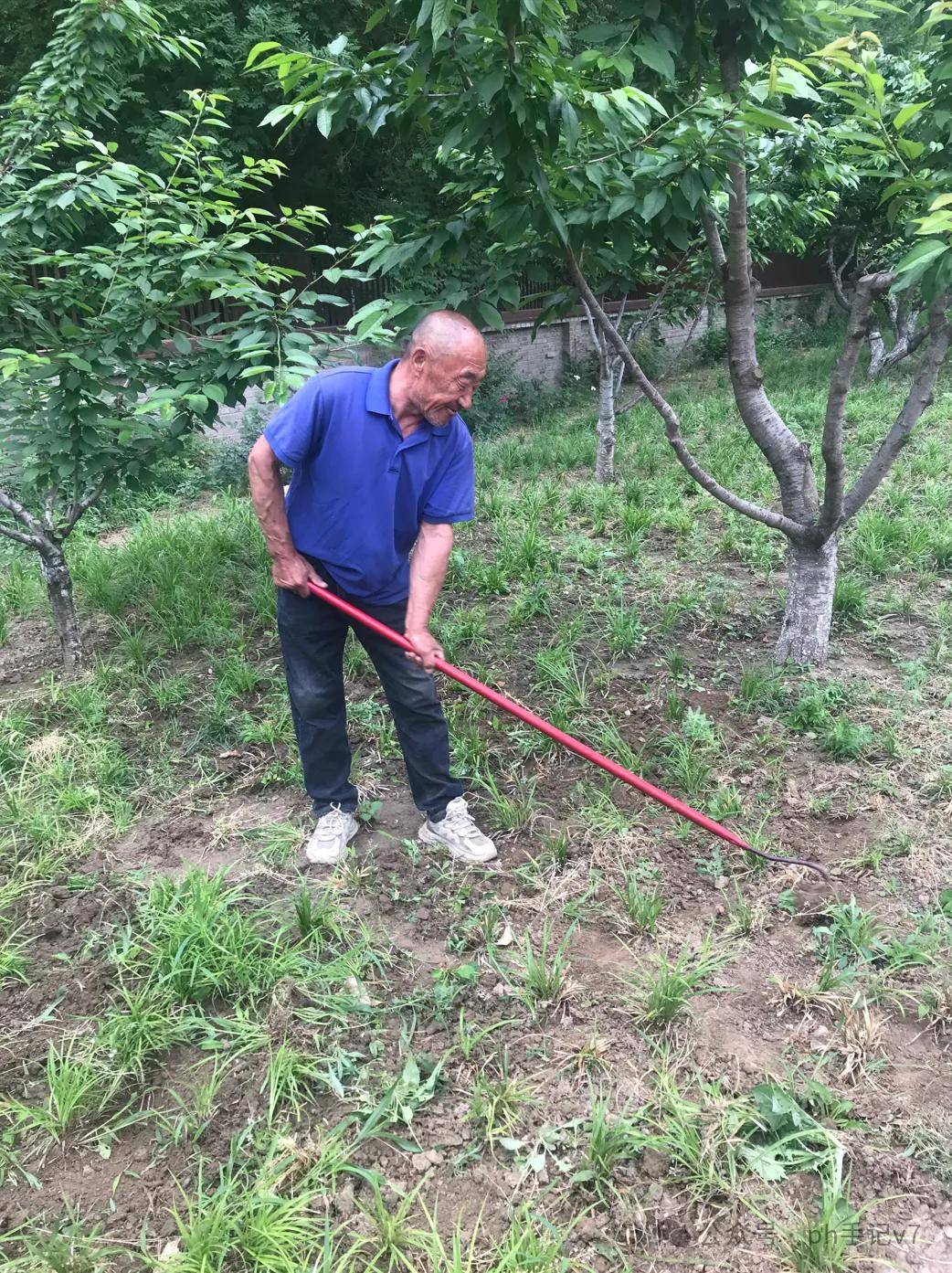 【我的似水流年】：人间五月天之2024年5月（3）