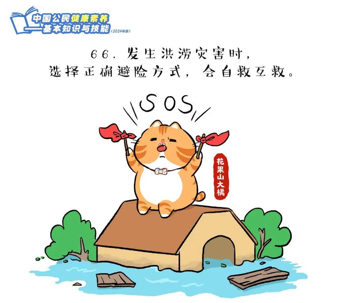 爱了！快跟上这只橘猫，2024版健康素养66条漫画版易学易记！